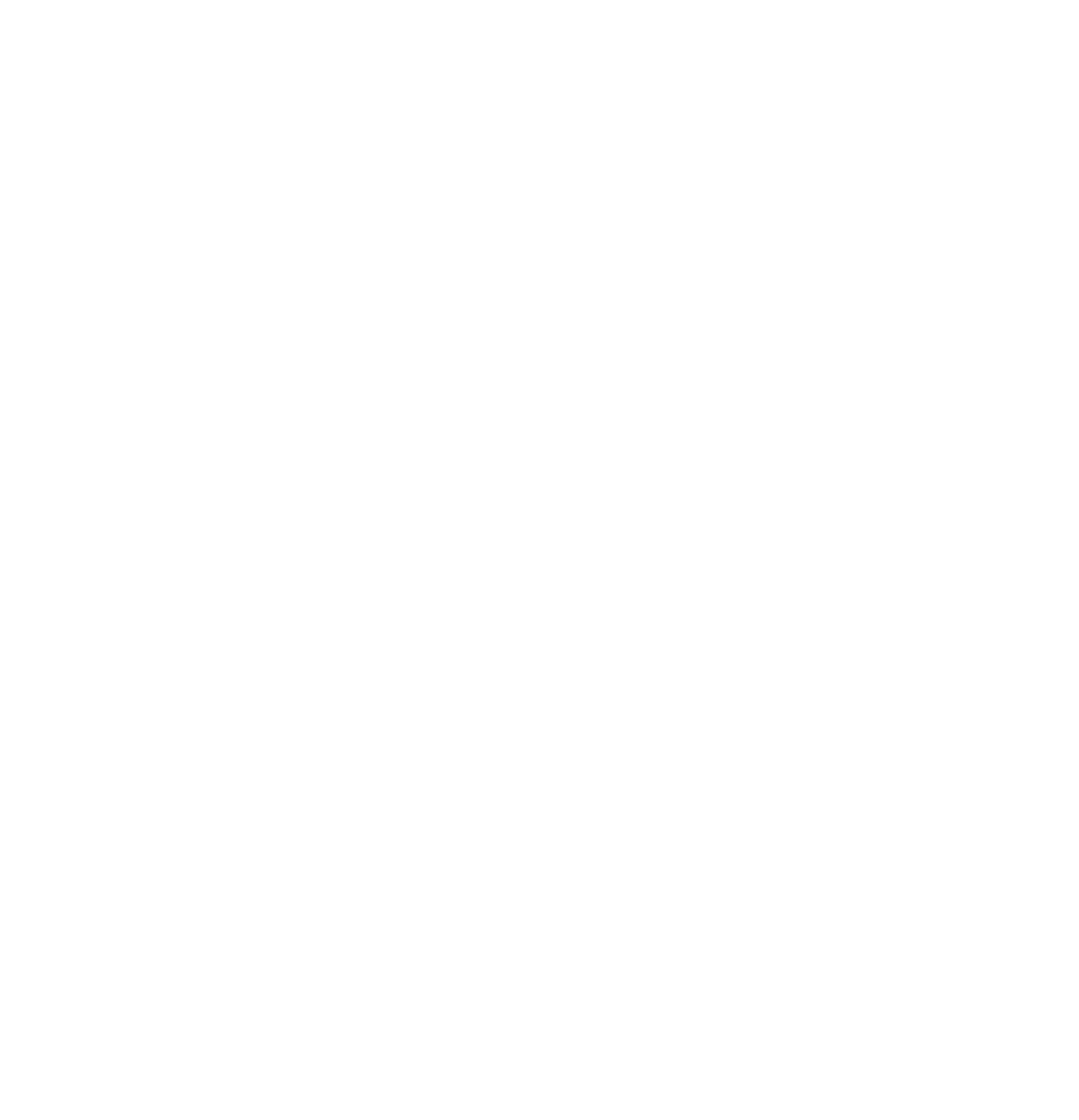 Logo Velo Schmid